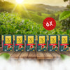 Mevlana Schwarztee mit Kardamom-Geschmack | im Beuteltee-Set (6er Pack)
