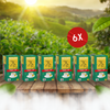 Mevlana Grüner Tee im Beuteltee Set von Goran Tee | Luxusmischung | 6er Pack
