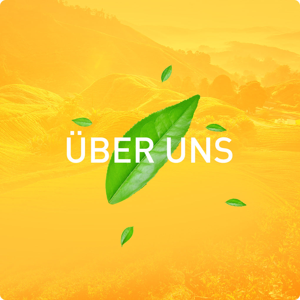 Über uns