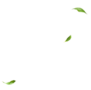 mevlana cay slide parallax 02