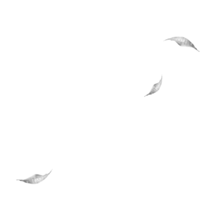 mevlana cay slide parallax 04