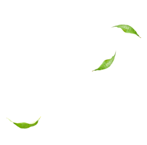 mevlana cay slide parallax 05