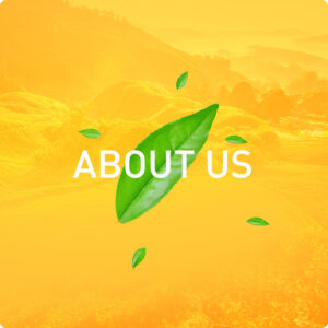 Buton aboutus en