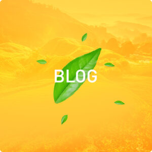 Buton blog en