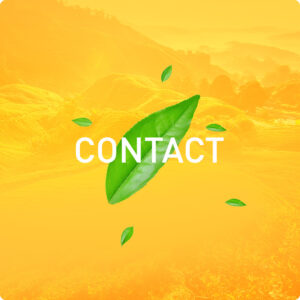 Buton contact en
