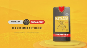 Screen Shot 2023 11 15 at 11.47.27