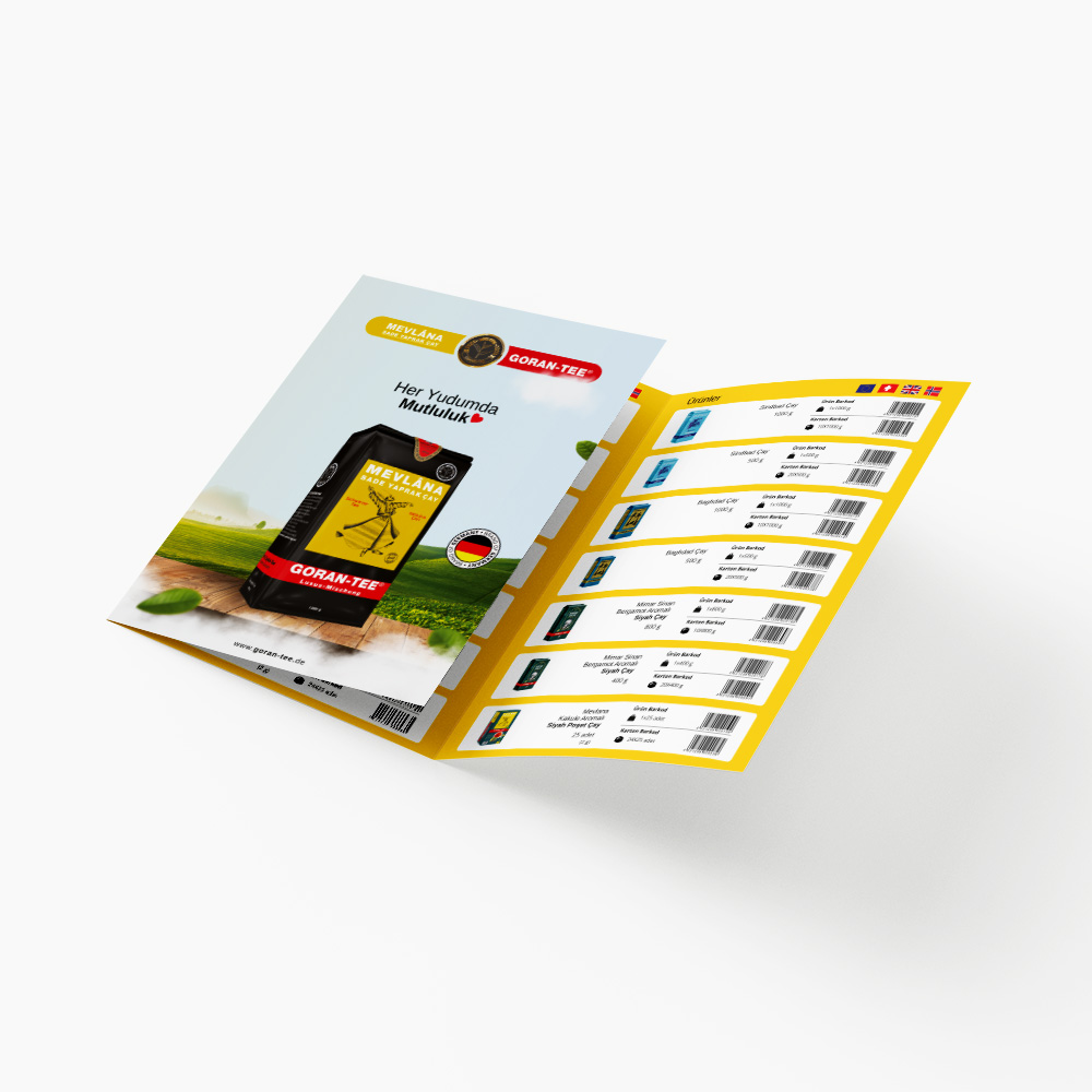 mev-int-eu-flyer-4