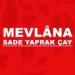 mevlanacayde